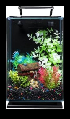 Acvariu Accents: Decorative Touchs for stylish Fish Tanks