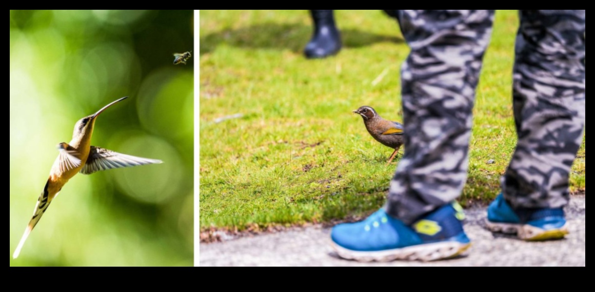 Urban Birding Adventures: descoperirea vieții sălbatice în oraș